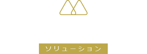 ソリューション